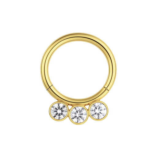 316L Surgical Steel and CZ Studded Hinged Segment Clicker Ring - Monster Piercing