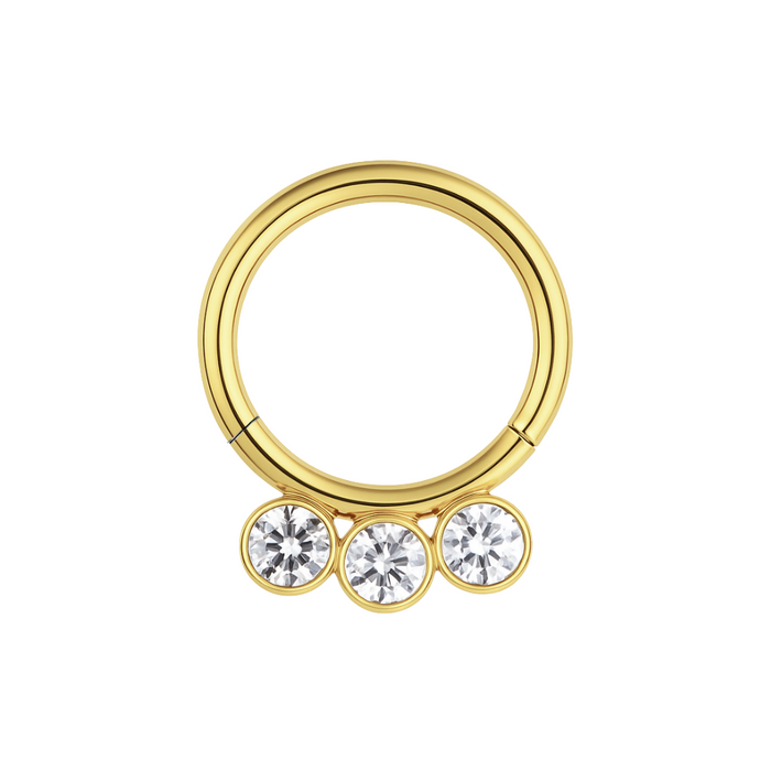 316L Surgical Steel and CZ Studded Hinged Segment Clicker Ring - Monster Piercing