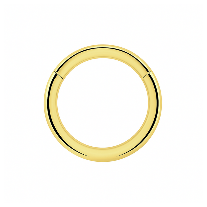 925 Sterling Silver Classic Hinged Segment Clicker Ring - Monster Piercing