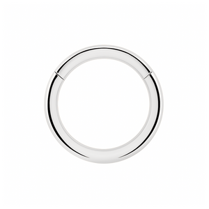 925 Sterling Silver Classic Hinged Segment Clicker Ring