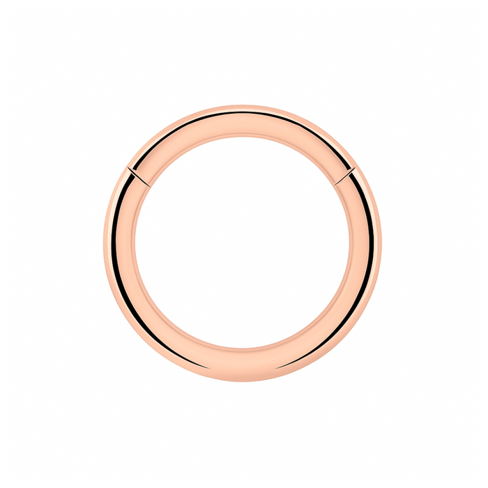 925 Sterling Silver Classic Hinged Segment Clicker Ring - Monster Piercing