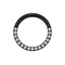 G23 Titanium Pave Crystal Hinged Clicker Segment Ring