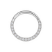G23 Titanium Pave Crystal Hinged Clicker Segment Ring - Monster Piercing
