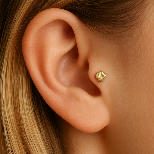 14K Gold Internally Threaded Shell Screw Fit Stud - Monster Piercing