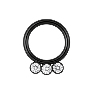 G23 Titanium and CZ Studded Hinged Segment Clicker Ring