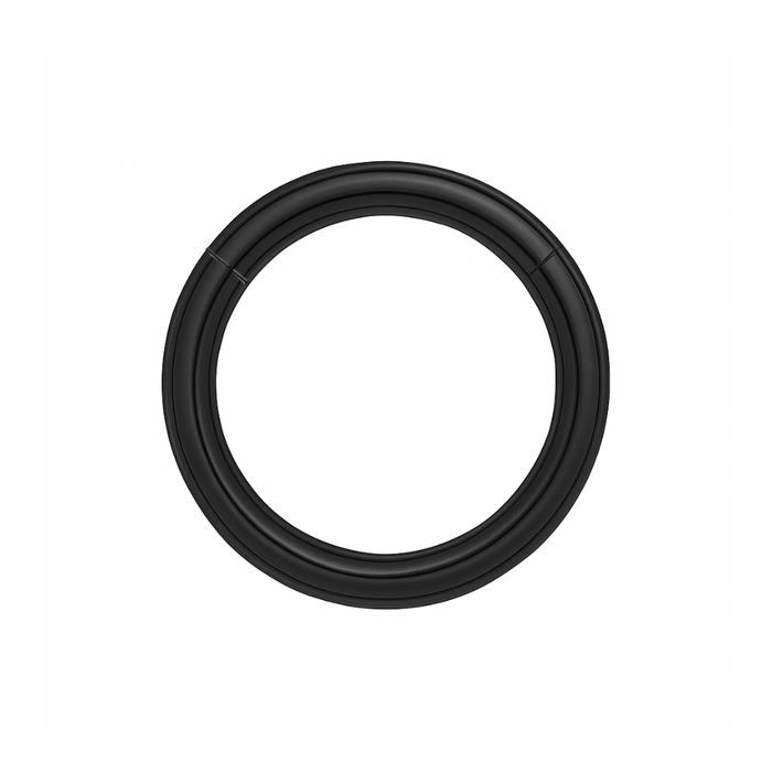 316L Surgical Steel 14G Hinged Segment Clicker Ring