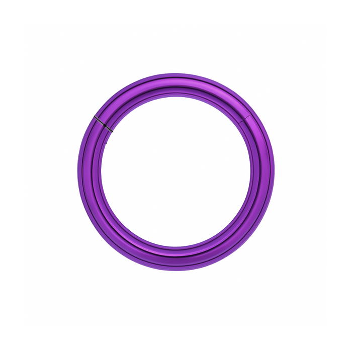 316L Surgical Steel 14G Hinged Segment Clicker Ring