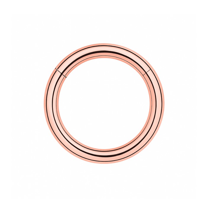 316L Surgical Steel 14G Hinged Segment Clicker Ring