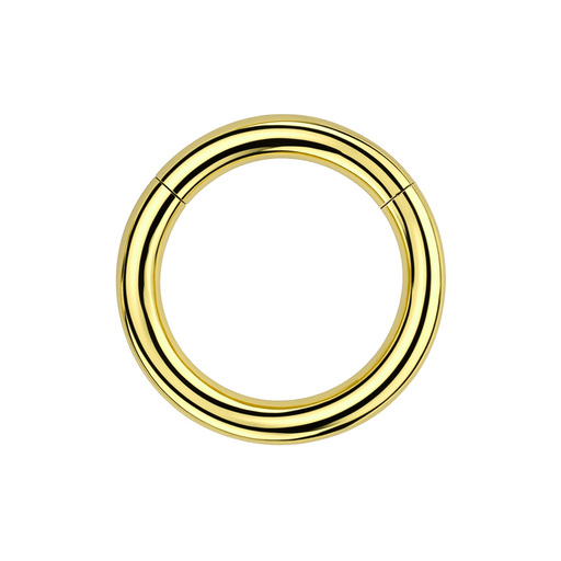 G23 Titanium Heavy Gauge Classic Hinged Segment Clicker Ring - Monster Piercing