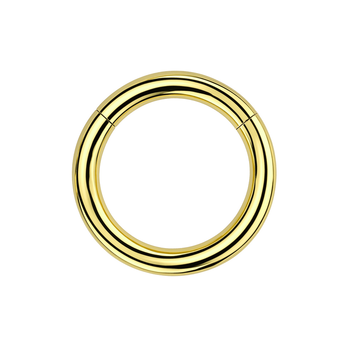 G23 Titanium Heavy Gauge Classic Hinged Segment Clicker Ring - Monster Piercing
