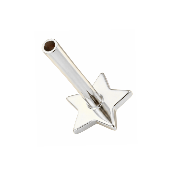 G23 Titanium Push Fit Star Labret Bar