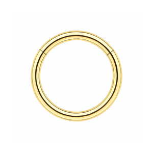 316L Surgical Steel 16G Hinged Segment Clicker Ring