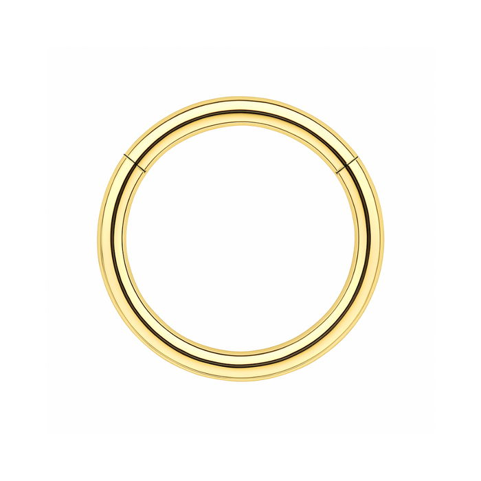 316L Surgical Steel 16G Hinged Segment Clicker Ring