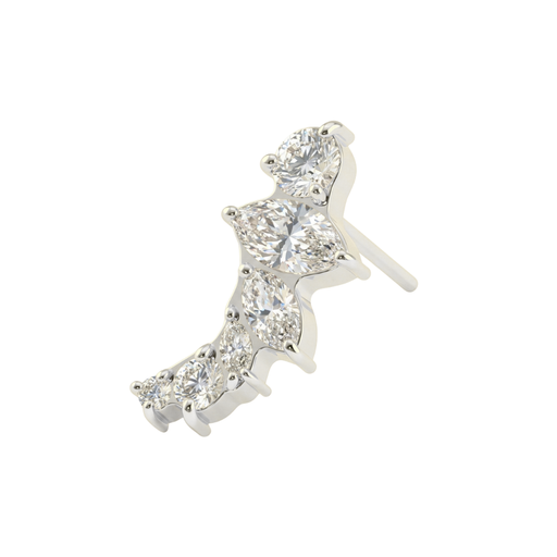 Silver-tone G23 titanium curved cluster labret with clear stones