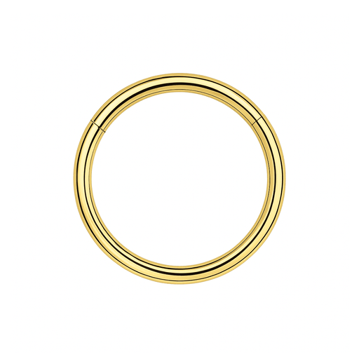 316L Surgical Steel 18G Hinged Segment Clicker Ring United Kingdom