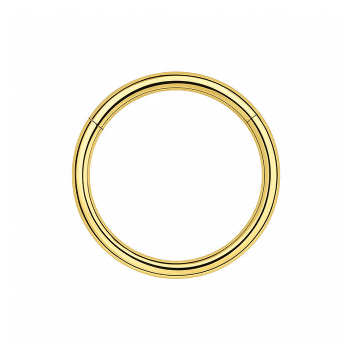 G23 Titanium Hinged Segment Clicker Ring - Monster Piercing