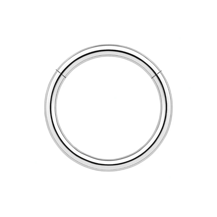 316L Surgical Steel 16G Hinged Segment Clicker Ring