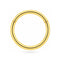 9K Gold Classic Hinged Segment Clicker Ring