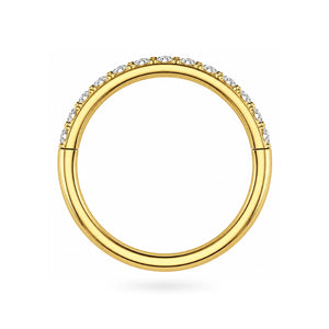 G23 Titanium Micro Setting CZ Stones in Hinged Segment Clicker Ring