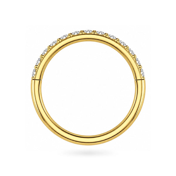 G23 Titanium Micro Setting CZ Stones in Hinged Segment Clicker Ring
