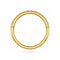 G23 Titanium Micro Setting CZ Stones in Hinged Segment Clicker Ring