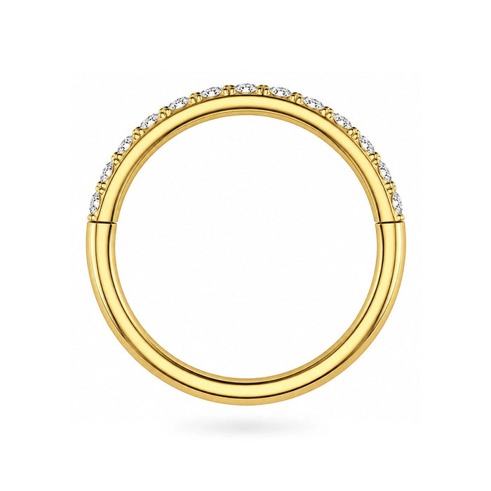 G23 Titanium Micro Setting CZ Stones in Hinged Segment Clicker Ring