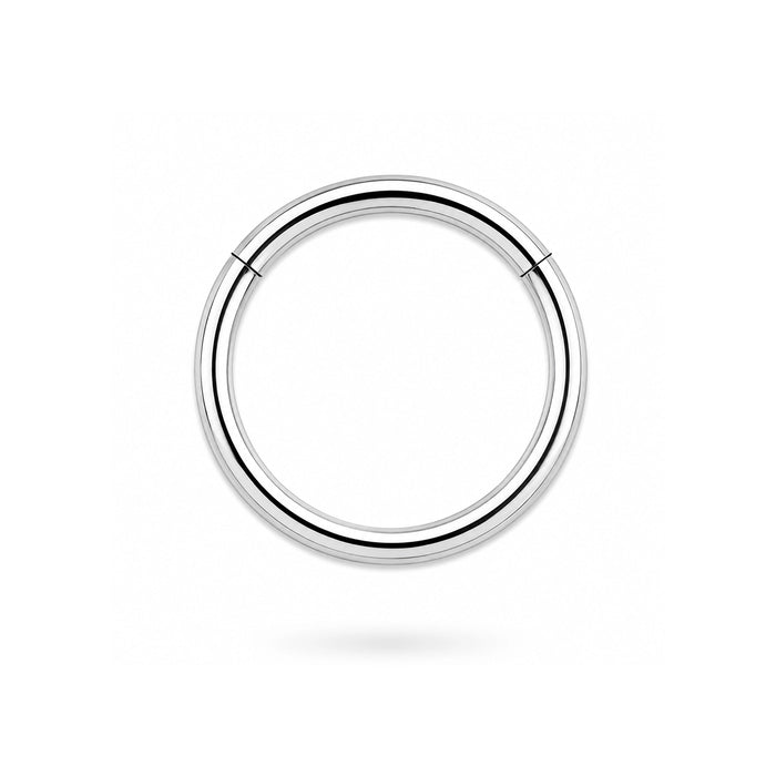 316L Surgical Steel 16G Hinged Segment Clicker Ring