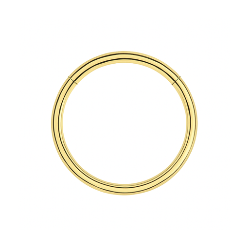316L Surgical Steel 20G Hinged Segment Clicker Ring United Kingdom
