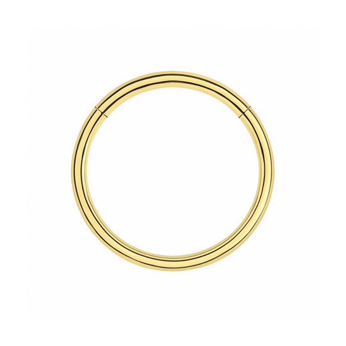 316L Surgical Steel 20G Hinged Segment Clicker Ring - Monster Piercing