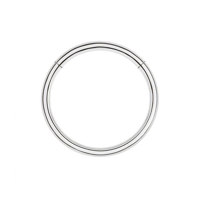 316L Surgical Steel 20G Hinged Segment Clicker Ring - Monster Piercing