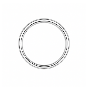316L Surgical Steel 18G Hinged Segment Clicker Ring