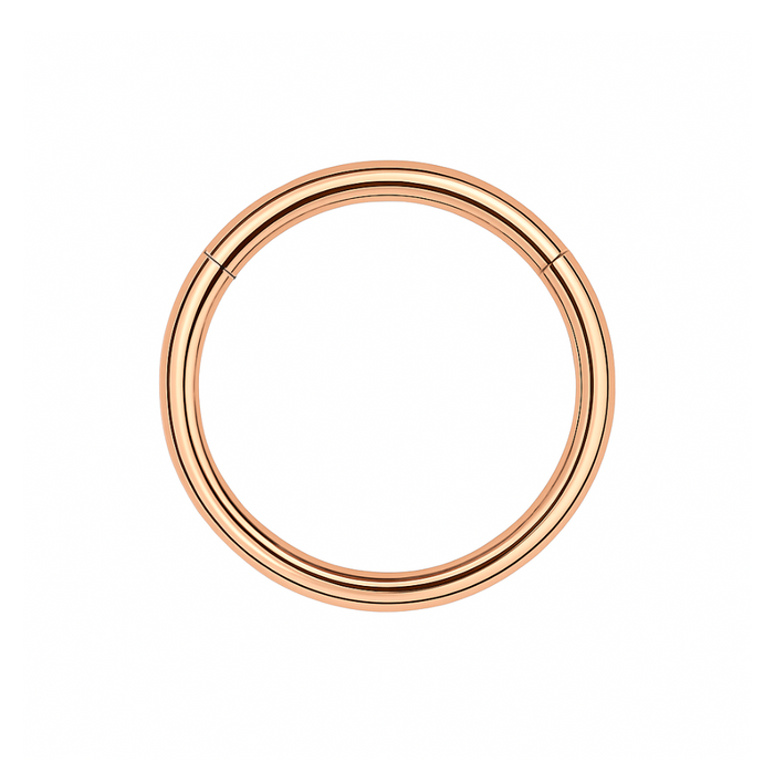 G23 Titanium Hinged Segment Clicker Ring - Monster Piercing