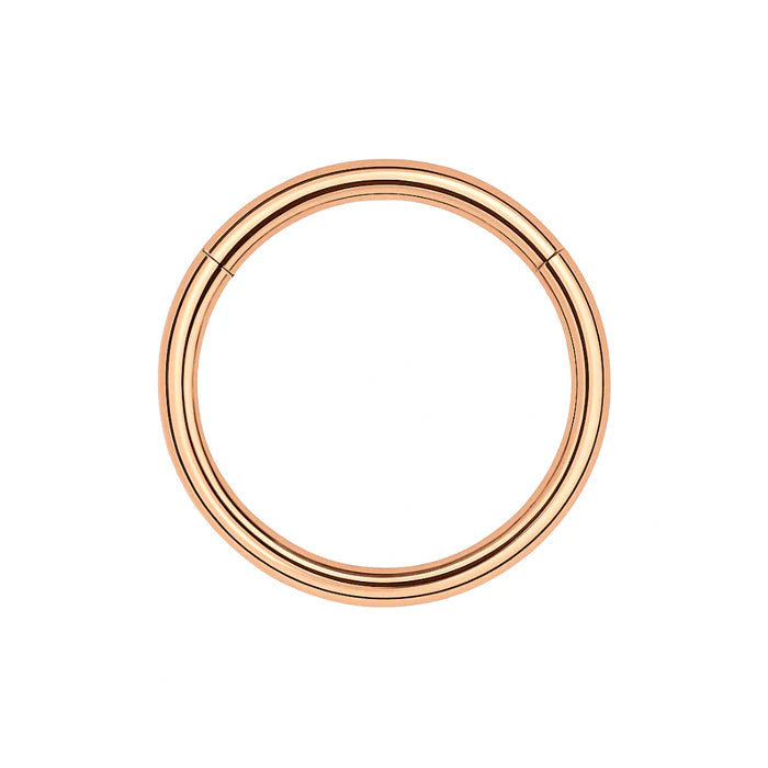 G23 Titanium Classic Hinged Segment Clicker Ring