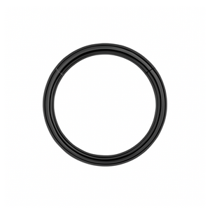 G23 Titanium Classic Hinged Segment Clicker Ring