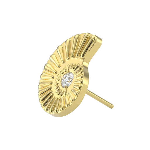 Gold Nautilus shell labret with cubic zirconia