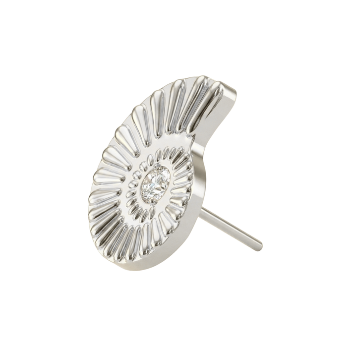 Silver Nautilus shell labret with cubic zirconia
