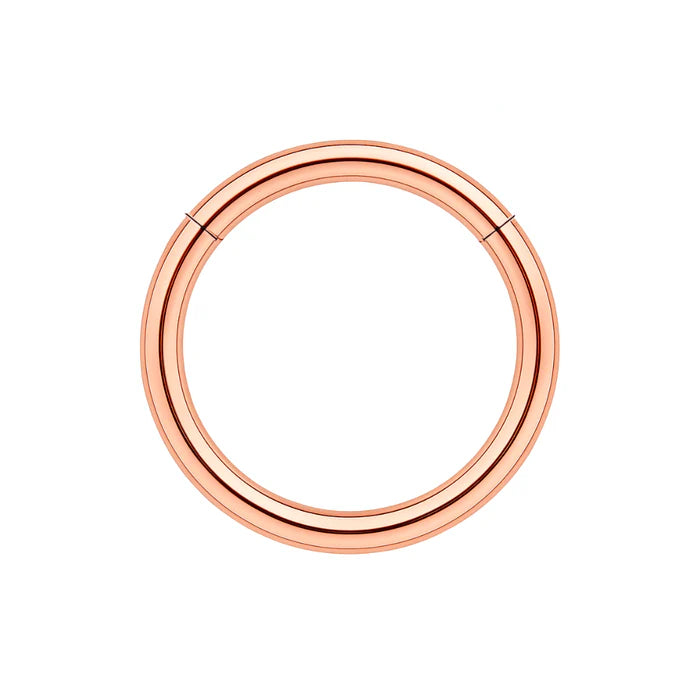 316L Surgical Steel 16G Hinged Segment Clicker Ring