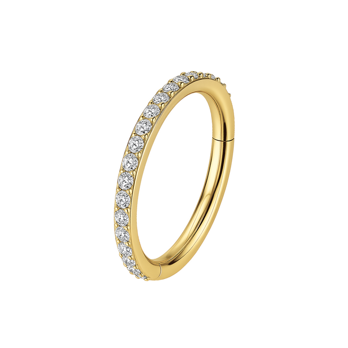 G23 Titanium Micro Setting CZ Stones in Hinged Segment Clicker Ring - Monster Piercing