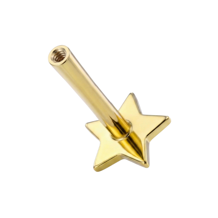 14K Gold Internal Thread Star Back Labret Bar