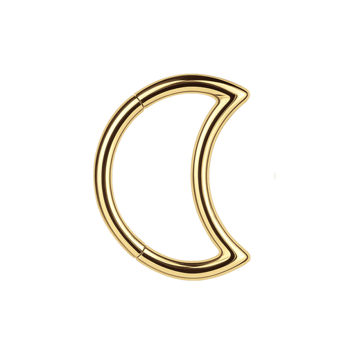 316L Surgical Steel Crescent Cut Segment Clicker Ring - Monster Piercing
