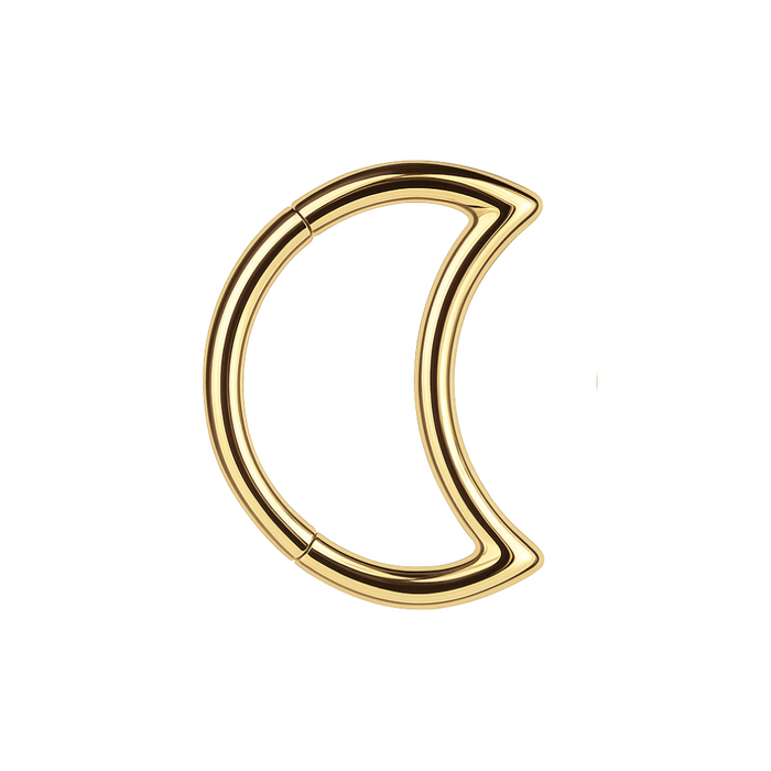 316L Surgical Steel Crescent Cut Segment Clicker Ring - Monster Piercing