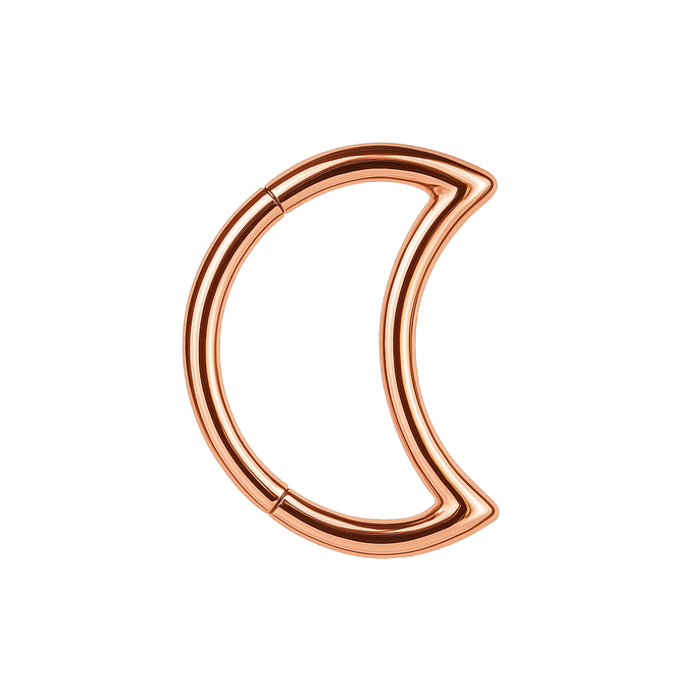 316L Surgical Steel Crescent Cut Segment Clicker Ring - Monster Piercing