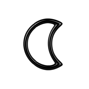 316L Surgical Steel Crescent Cut Segment Clicker Ring