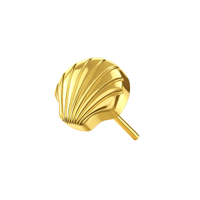 G23 Grade Titanium Seashell Elegance Threadless Top