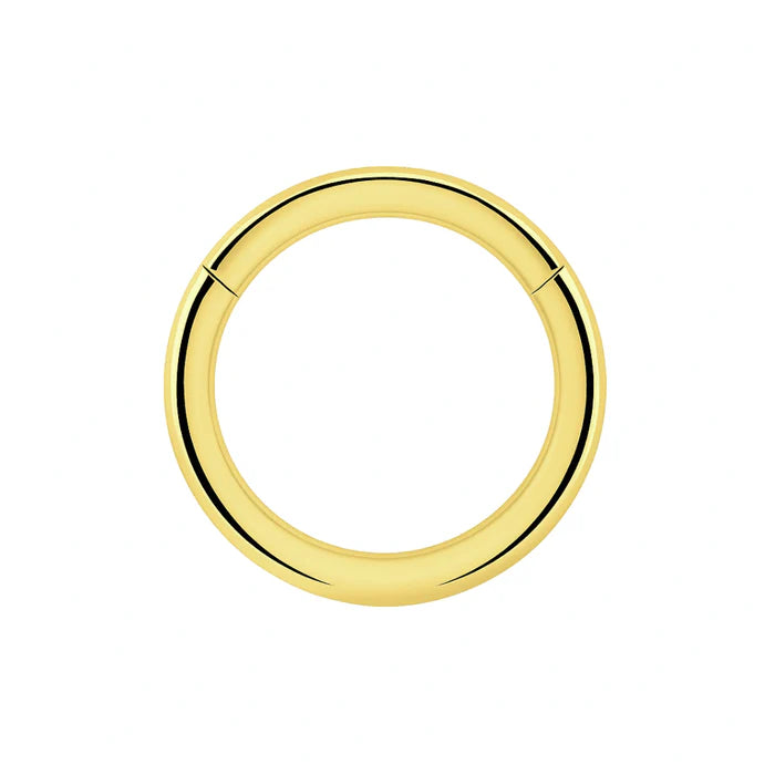 925 Sterling Silver Classic Hinged Segment Clicker Ring