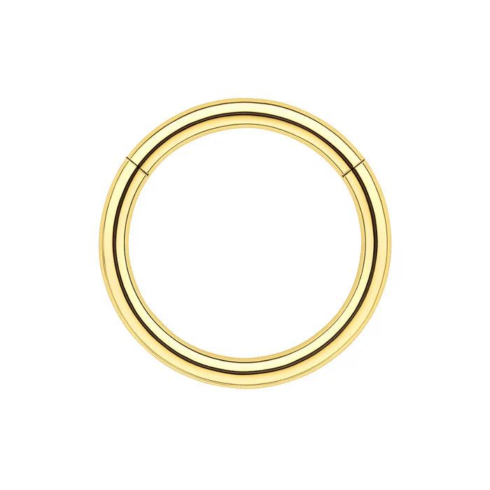 316L Surgical Steel 16G Hinged Segment Clicker Ring