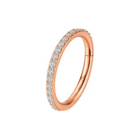 316L Chirurgenstahl mit Mikrofassung aus Zirkonia in einem Segment-Clickerring mit Scharnier