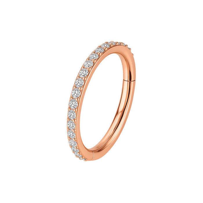 316L Surgical Steel Micro Setting CZ Stones in Hinged Segment Clicker Ring