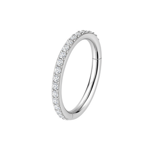 G23 Titanium Micro Setting CZ Stones in Hinged Segment Clicker Ring