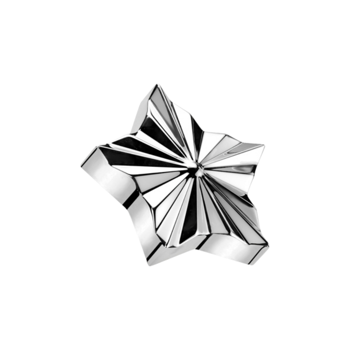 G23 Titanium Diamond Cut Star Tragus Top